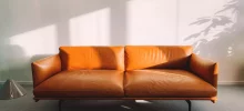 freecompress-martin-pechy-bpg-ng
